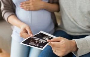 Сделать бесплатное ЭКО в Беларуси станет проще